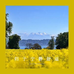 舒缓卡农三封面