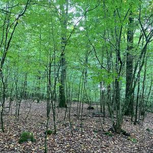 En Saknad Tid (Explicit)