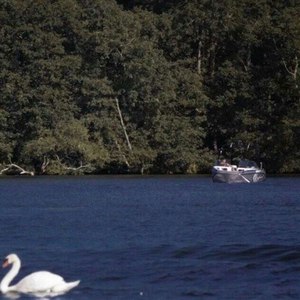 父亲写的散文诗