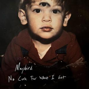 No Cure For What I Got