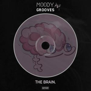 The Brain