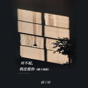 对不起，我还爱你 (橘子妹版)