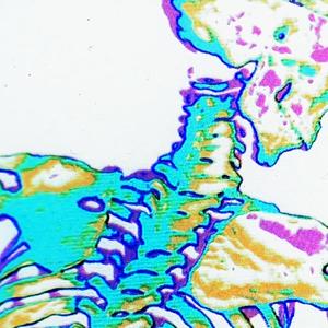 E V E R F A L L I N G