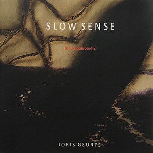 Slow Sense