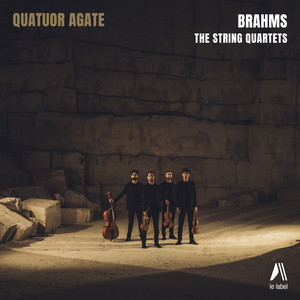 Brahms (The String Quartets)