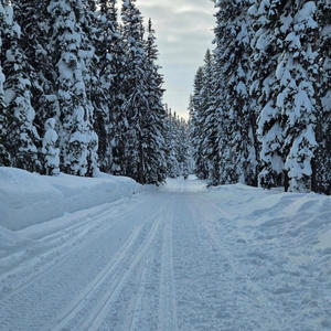 Winter (feat. Iantlester)