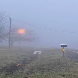 the fool (feat. JYnX)