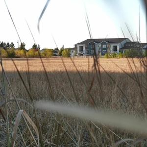 i made a wish 7 years ago, but it never came true (Explicit)