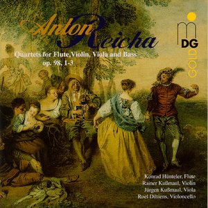 Flute Quartet in E Minor, Op. 98, No. 1: Allegro moderato
