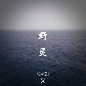 野灵 (Original Mix)