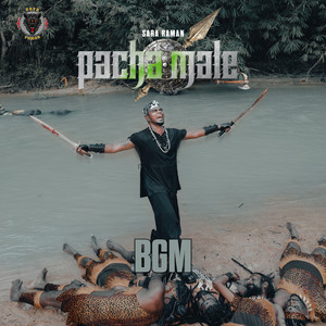 Pacha Male BGM
