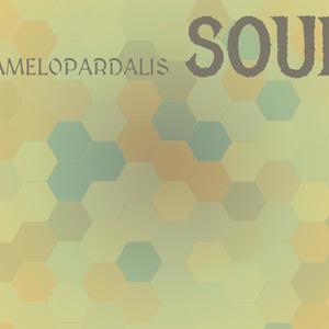 Camelopardalis Soul