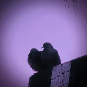 LOVESPHERE (feat. JBrown)