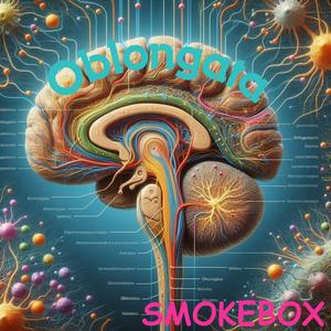 Oblongata (Explicit)