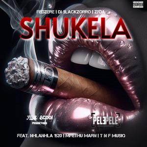 Shukela (feat. Nhlanhla 1520, Mfethu Marn & T n F MusiQ) (Deluxe Version)