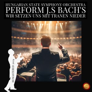 Wir Setzen Uns Mit Tranen Nieder (Remastered 2024)