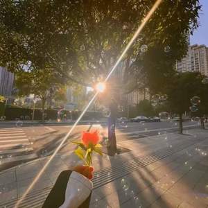 半糖记 - 九万字进行曲