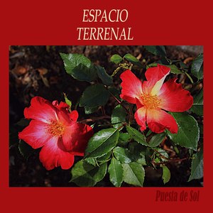 Espacio Terrenal