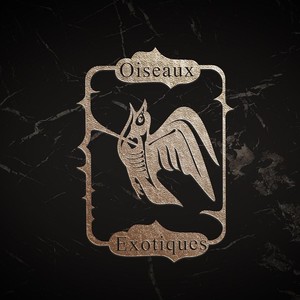 荆棘鸟（Prod MoonVibe Beatz）