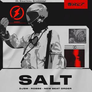 Salt - DJSM、Robbe、New Beat Order封面