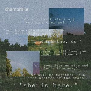 Chamomile