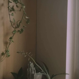 married in hell (sleepwater cover)