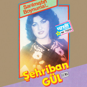 Bir Tenhada Gör Halimi