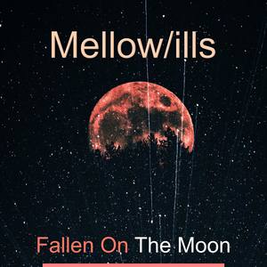 Fallen On The Moon