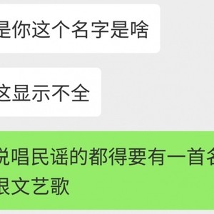 都说唱民谣的得要一首歌名很长很文艺的歌，那我想我这个非文艺青年也写一首吧，用来祭奠我从来没有过的爱情