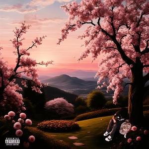 Image (feat. Jso & Sunsxt) (Explicit)