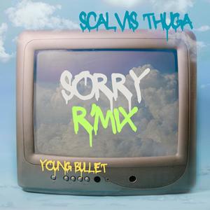 SORRY R'MIX (feat. Young Bullet)