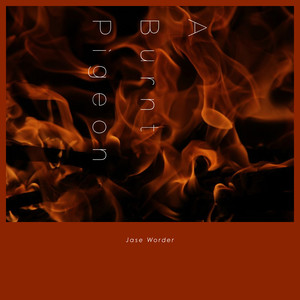 The Story of A Burnt Pigeon