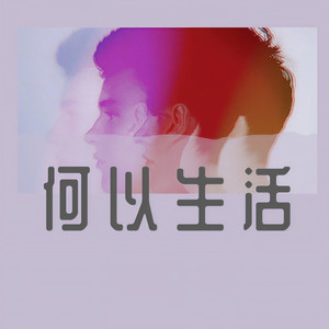 火红的萨日朗 (DJ8先生版)封面