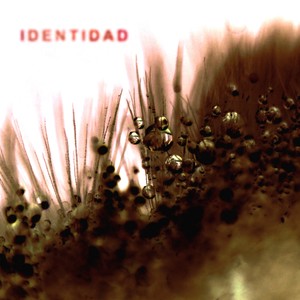 Identidad