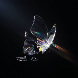 Camera (Slowed Down)