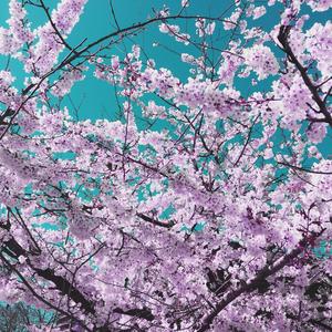 Amor O Lujuria(feat. J-Tunes) (Explicit)