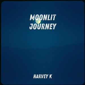 Moonlit Journey