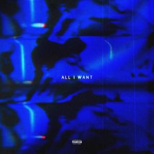 ALL I WANT (Explicit)