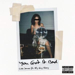 You Got It Bad (feat. FlyGuyVeezy) [Explicit]