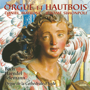 Orgue et hautbois (Orgue de la Cathédrale d'Agde)