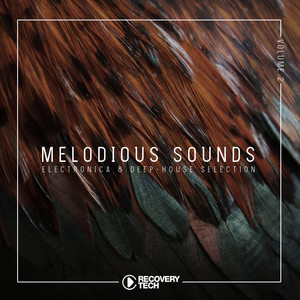 South Motions (Lonya Remix)
