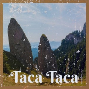 Taca Taca