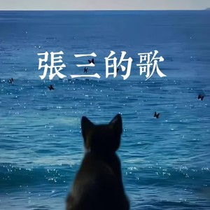 张三的歌 (R&B)