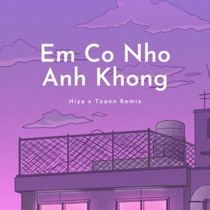 Em Có Nhớ Anh Không (Toann Remix)