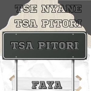 Tsa pitori