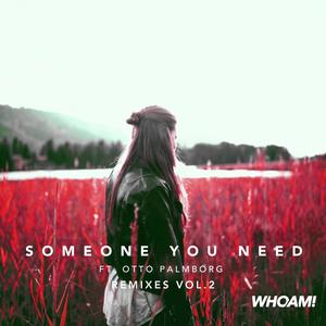 Someone You Need (feat. Otto Palmborg) [Remixes, Vol. 2]