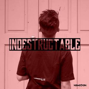 Indestructable