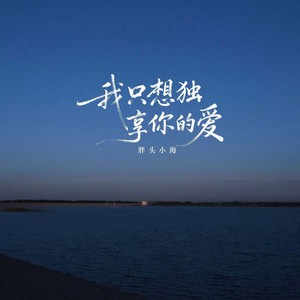 胖头小海 - 我只想独享你的爱