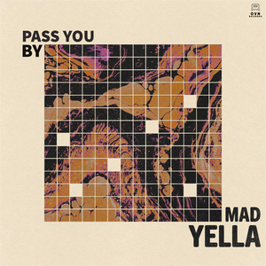 Pass You By