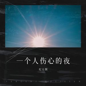 一个人伤心的夜